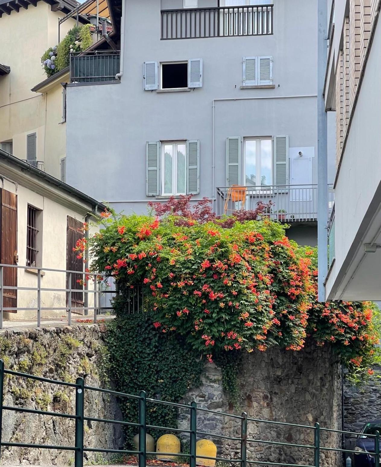 Casa Parravicini Apartment Sondrio Exterior photo